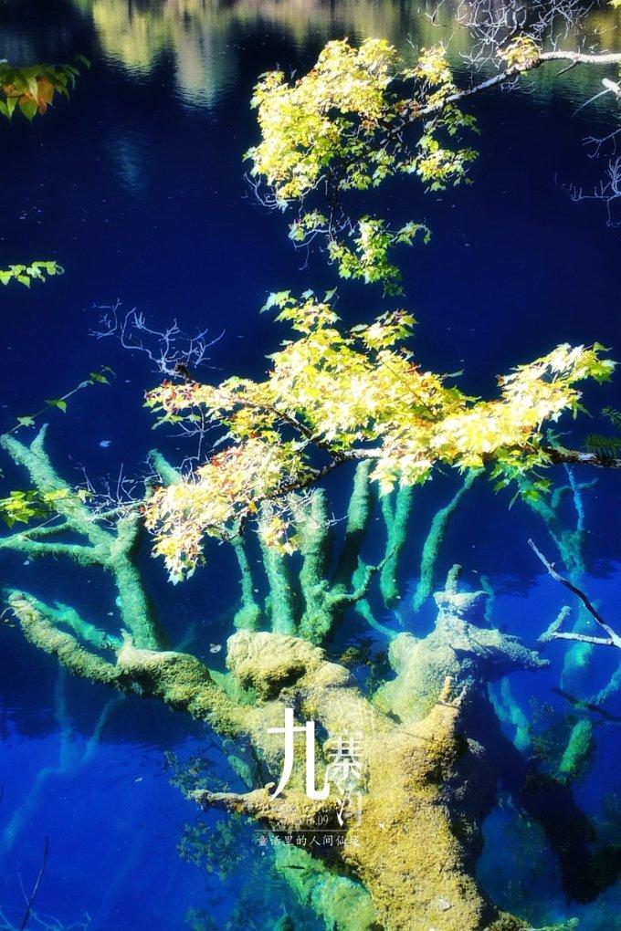 永诺50定焦全画幅和半画幅的画质有什么差别吗？游戏画面